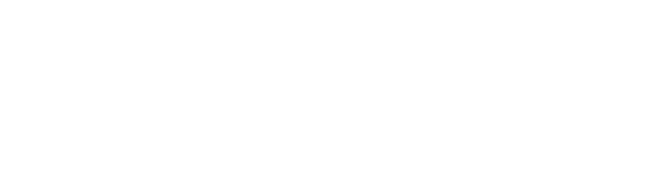 cargofacts consulting logo